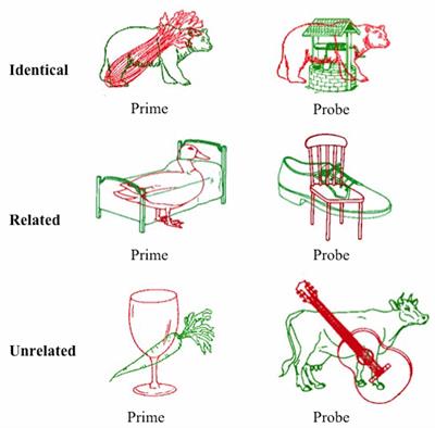 The Suppression of Irrelevant Semantic Representations in Parkinson’s Disease